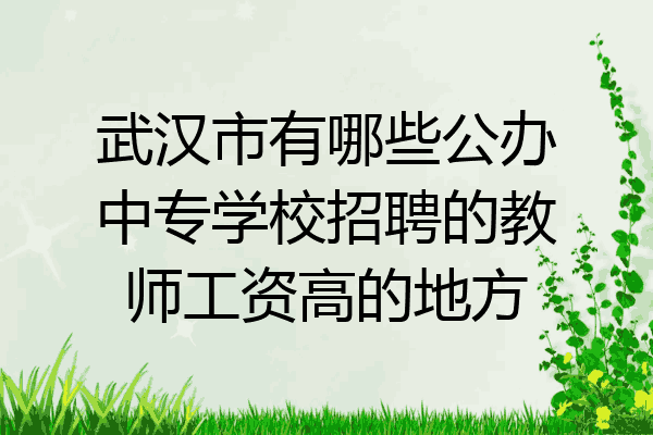 武汉市有哪些公办中专学校招聘的教师工资高的地方