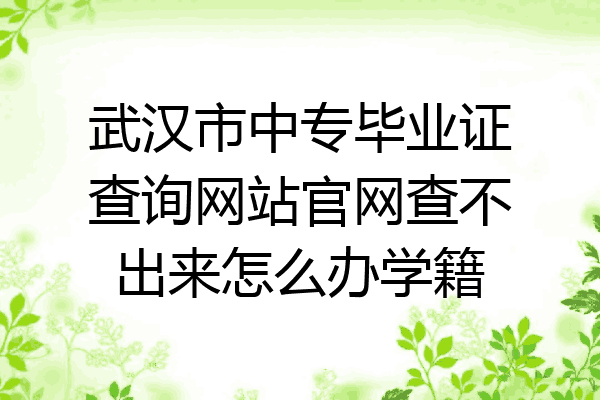 武汉市中专毕业证查询网站官网查不出来怎么办学籍