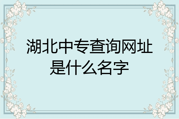 湖北中专查询网址是什么名字