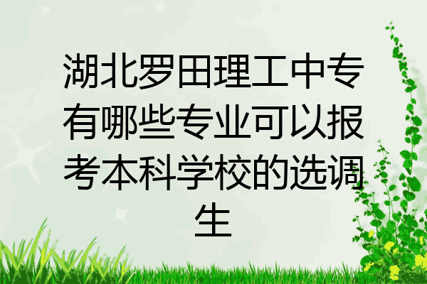 湖北罗田理工中专有哪些专业可以报考本科学校的选调生