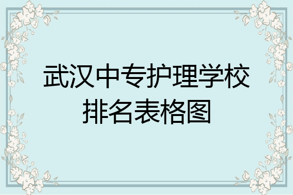 武汉中专护理学校排名表格图