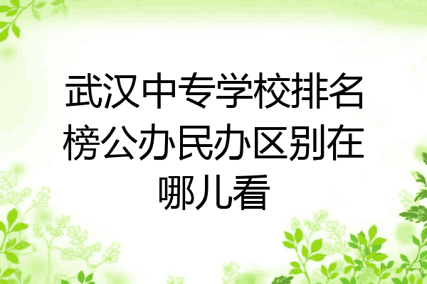 武汉中专学校排名榜公办民办区别在哪儿看