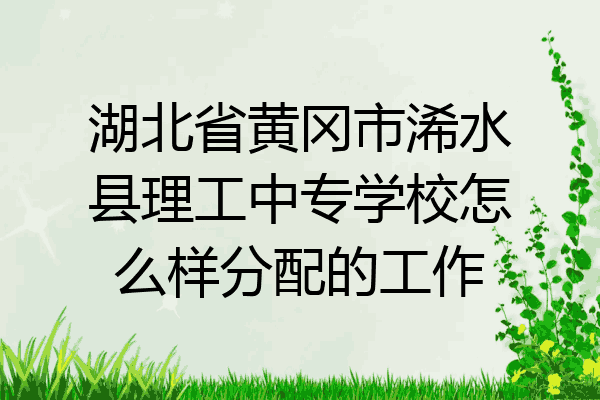 湖北省黄冈市浠水县理工中专学校怎么样分配的工作