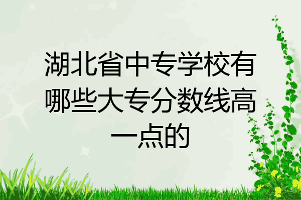 湖北省中专学校有哪些大专分数线高一点的