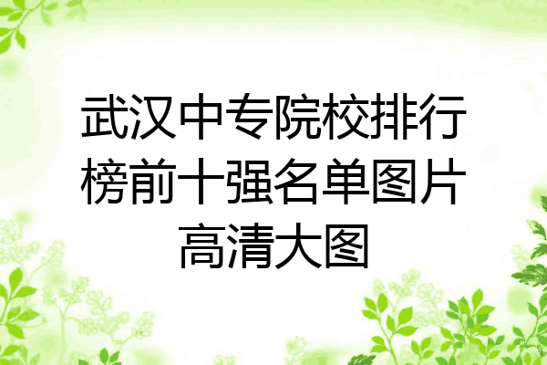 武汉中专院校排行榜前十强名单图片高清大图
