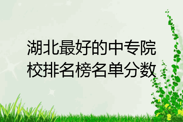 湖北最好的中专院校排名榜名单分数