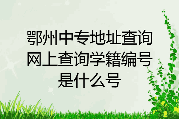 鄂州中专地址查询网上查询学籍编号是什么号
