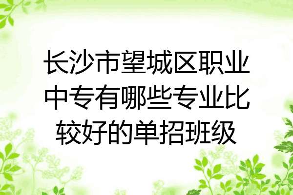 长沙市望城区职业中专有哪些专业比较好的单招班级
