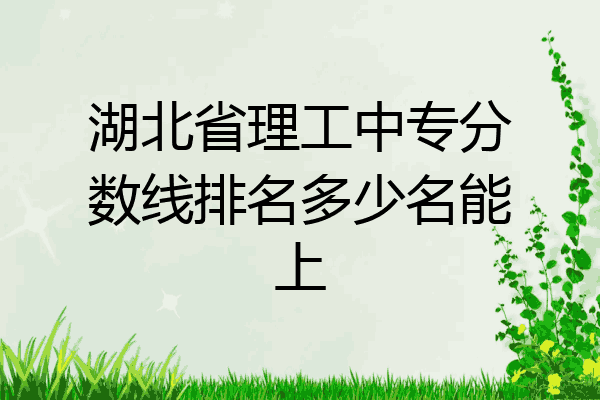 湖北省理工中专分数线排名多少名能上