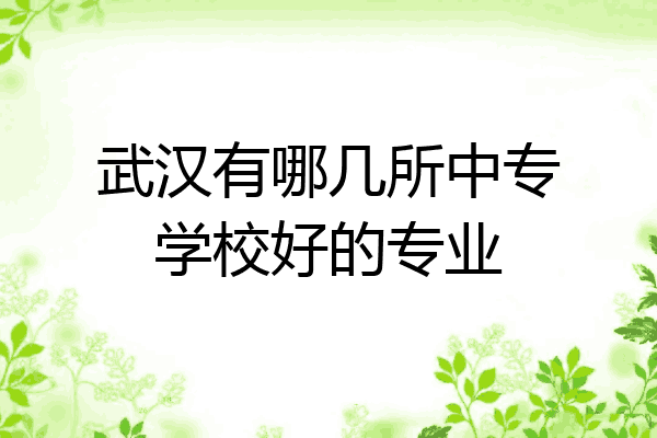 武汉有哪几所中专学校好的专业