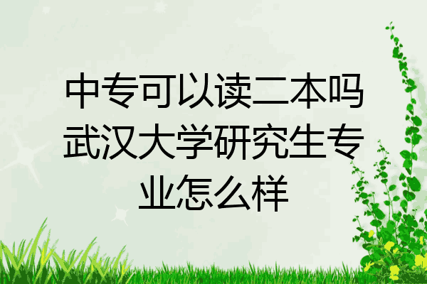 中专可以读二本吗武汉大学研究生专业怎么样