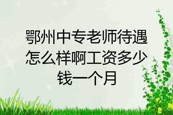 鄂州中专老师待遇怎么样啊工资多少钱一个月