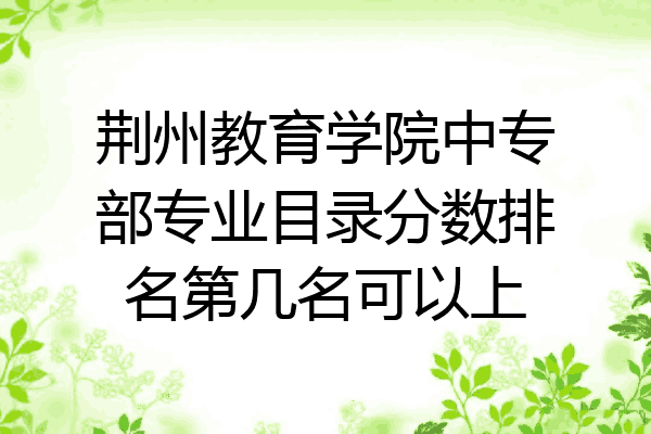 荆州教育学院中专部专业目录分数排名第几名可以上