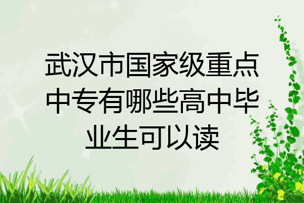 武汉市国家级重点中专有哪些高中毕业生可以读