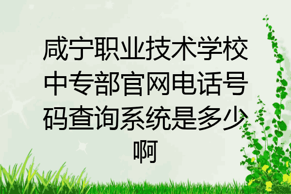 咸宁职业技术学校中专部官网电话号码查询系统是多少啊