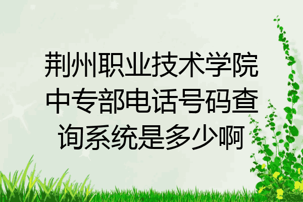 荆州职业技术学院中专部电话号码查询系统是多少啊