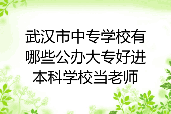 武汉市中专学校有哪些公办大专好进本科学校当老师