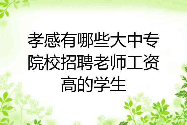 孝感有哪些大中专院校招聘老师工资高的学生