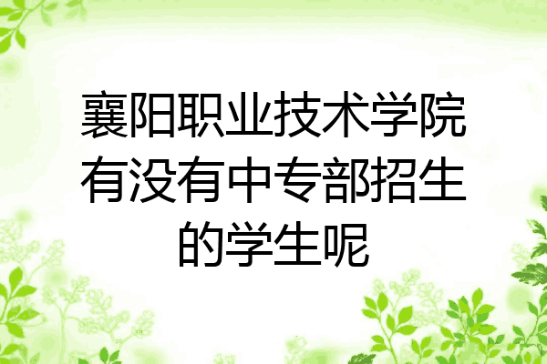 襄阳职业技术学院有没有中专部招生的学生呢