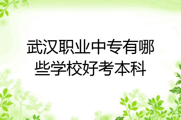 武汉职业中专有哪些学校好考本科