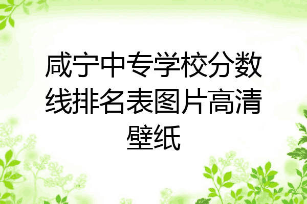 咸宁中专学校分数线排名表图片高清壁纸