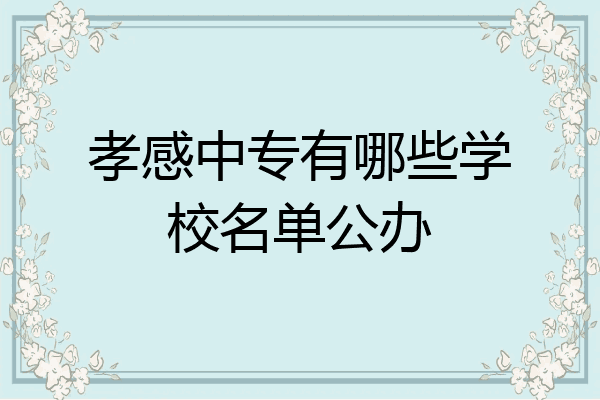孝感中专有哪些学校名单公办
