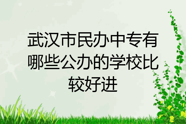 武汉市民办中专有哪些公办的学校比较好进