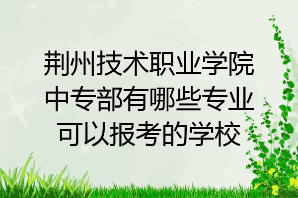 荆州技术职业学院中专部有哪些专业可以报考的学校