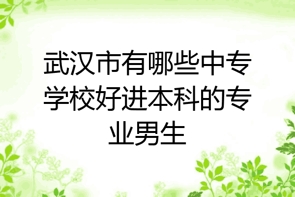 武汉市有哪些中专学校好进本科的专业男生