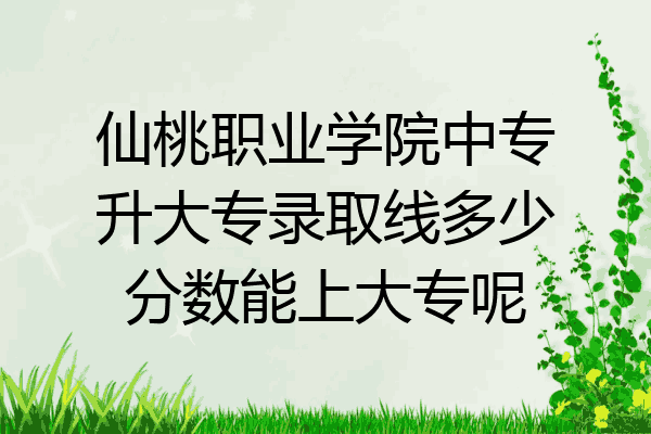 仙桃职业学院中专升大专录取线多少分数能上大专呢