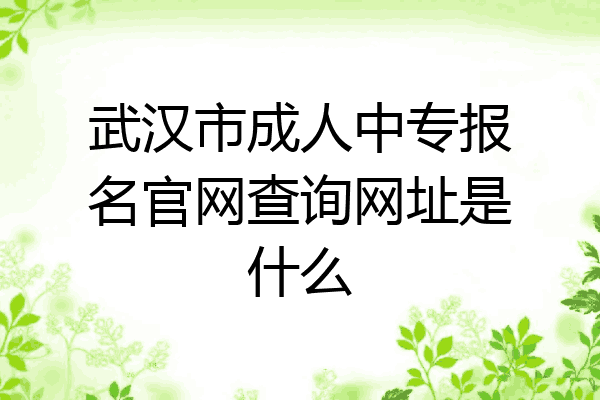武汉市成人中专报名官网查询网址是什么