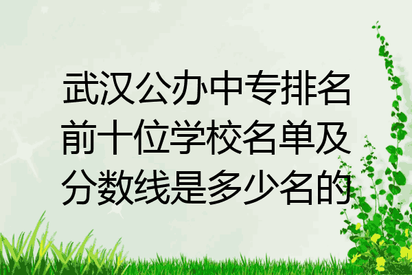 武汉公办中专排名前十位学校名单及分数线是多少名的