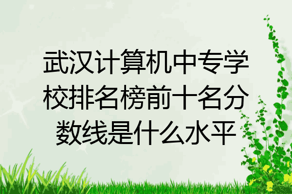 武汉计算机中专学校排名榜前十名分数线是什么水平