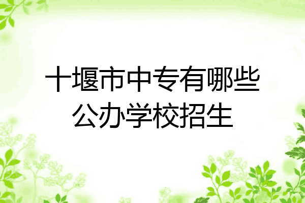 十堰市中专有哪些公办学校招生