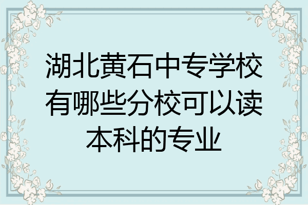 湖北黄石中专学校有哪些分校可以读本科的专业