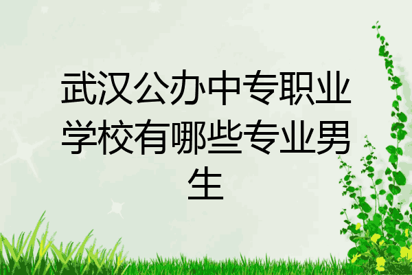 武汉公办中专职业学校有哪些专业男生