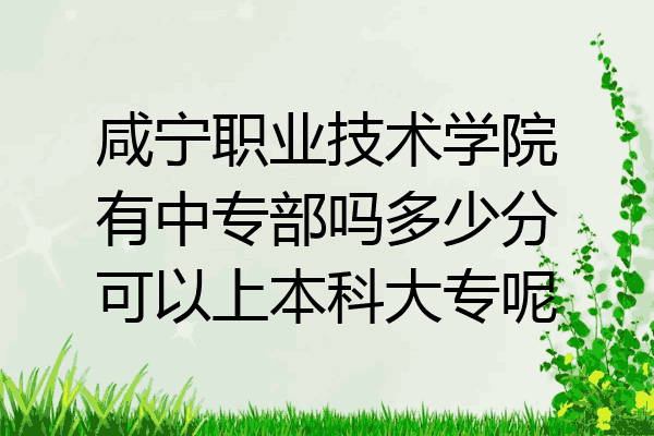 咸宁职业技术学院有中专部吗多少分可以上本科大专呢