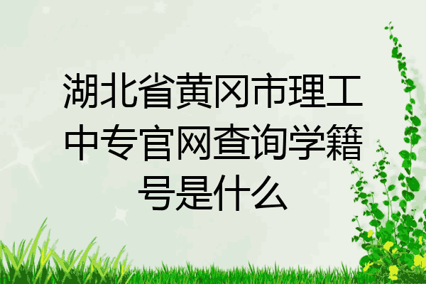 湖北省黄冈市理工中专官网查询学籍号是什么