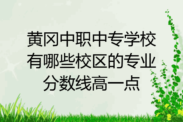 黄冈中职中专学校有哪些校区的专业分数线高一点