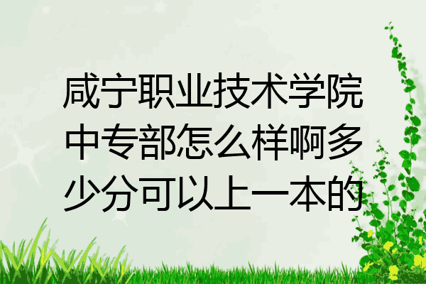咸宁职业技术学院中专部怎么样啊多少分可以上一本的