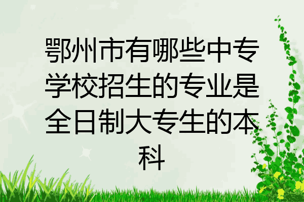 鄂州市有哪些中专学校招生的专业是全日制大专生的本科