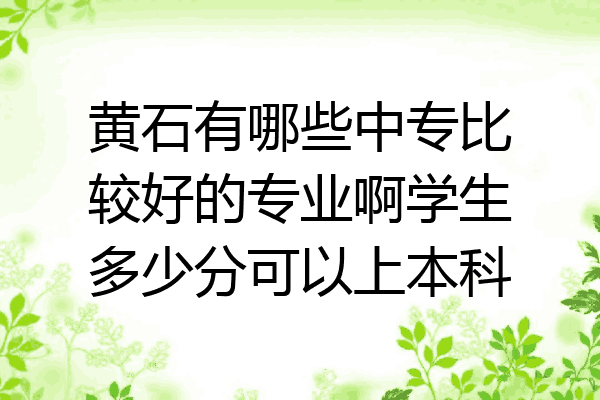 黄石有哪些中专比较好的专业啊学生多少分可以上本科