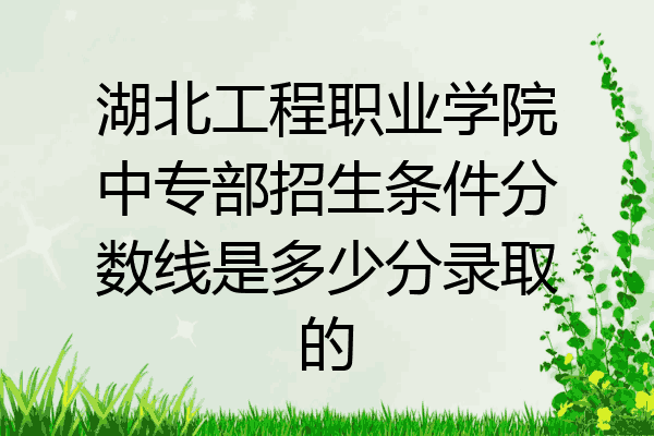 湖北工程职业学院中专部招生条件分数线是多少分录取的
