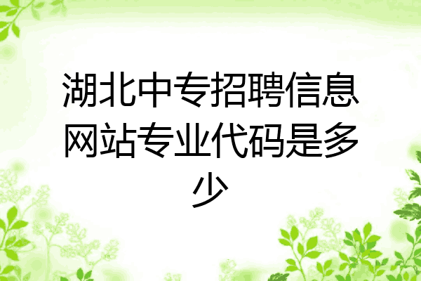 湖北中专招聘信息网站专业代码是多少