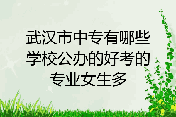 武汉市中专有哪些学校公办的好考的专业女生多