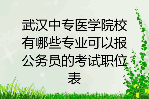 武汉中专医学院校有哪些专业可以报公务员的考试职位表