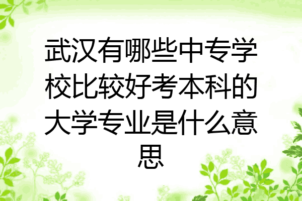 武汉有哪些中专学校比较好考本科的大学专业是什么意思