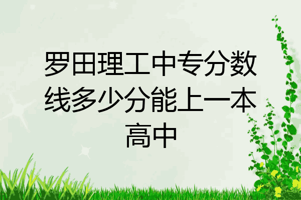 罗田理工中专分数线多少分能上一本高中