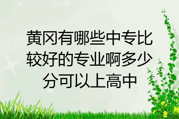黄冈有哪些中专比较好的专业啊多少分可以上高中
