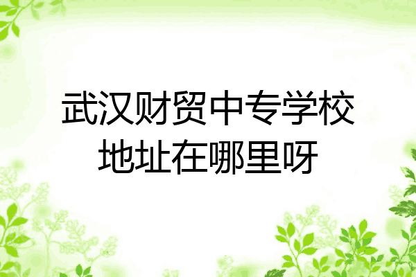 武汉财贸中专学校地址在哪里呀